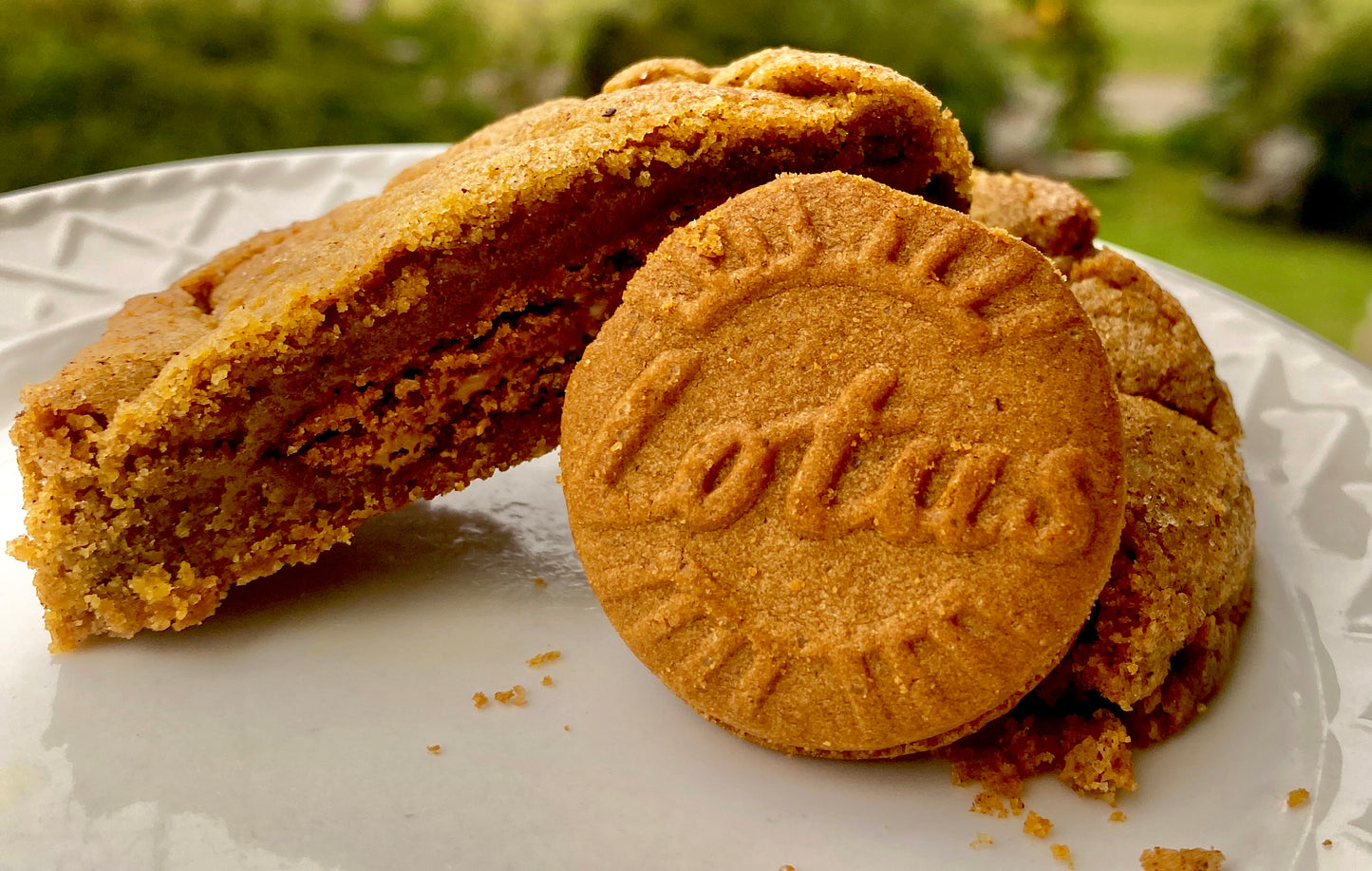 Biscoff Cookies           📦